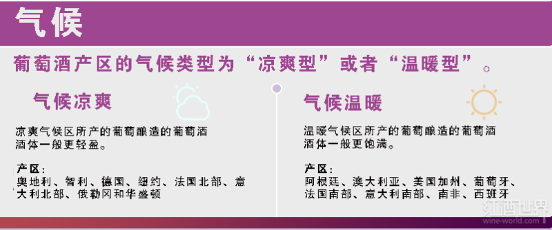 红葡萄酒酒体指南 红葡萄酒酒体指南