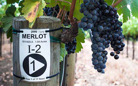 ��������������Ʒ�ָ���