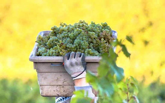 ��������������Ʒ�ָ���