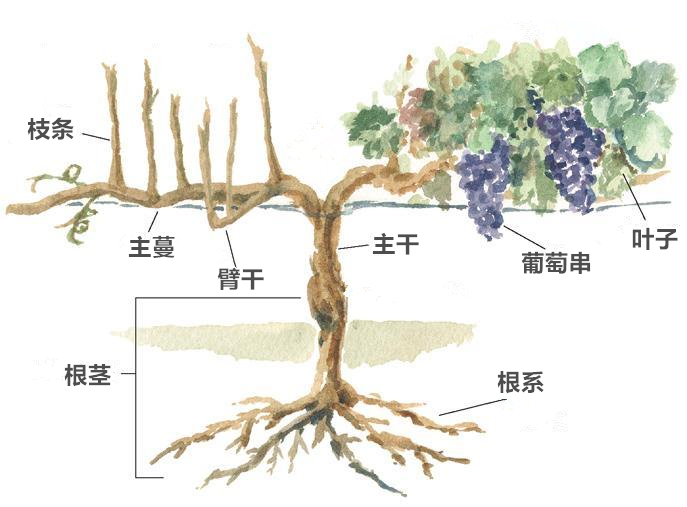 �����ٸ���λ����͹��ܼ��