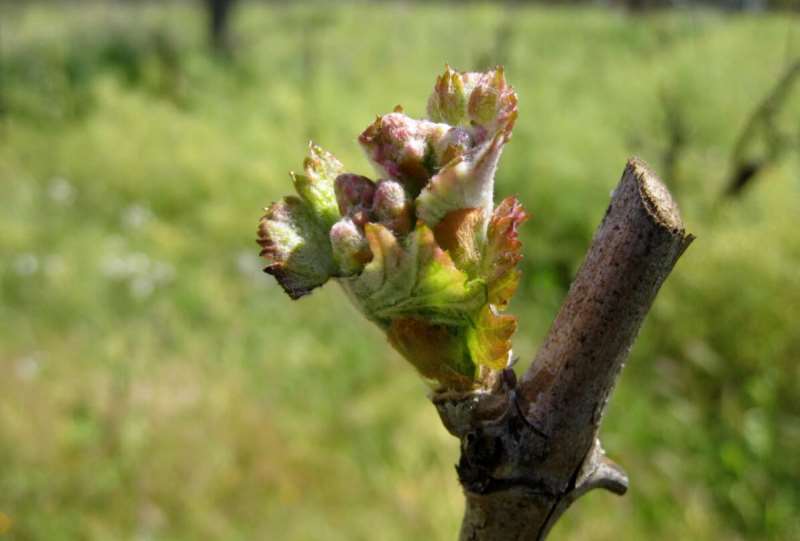 �����ٸ���λ����͹��ܼ��