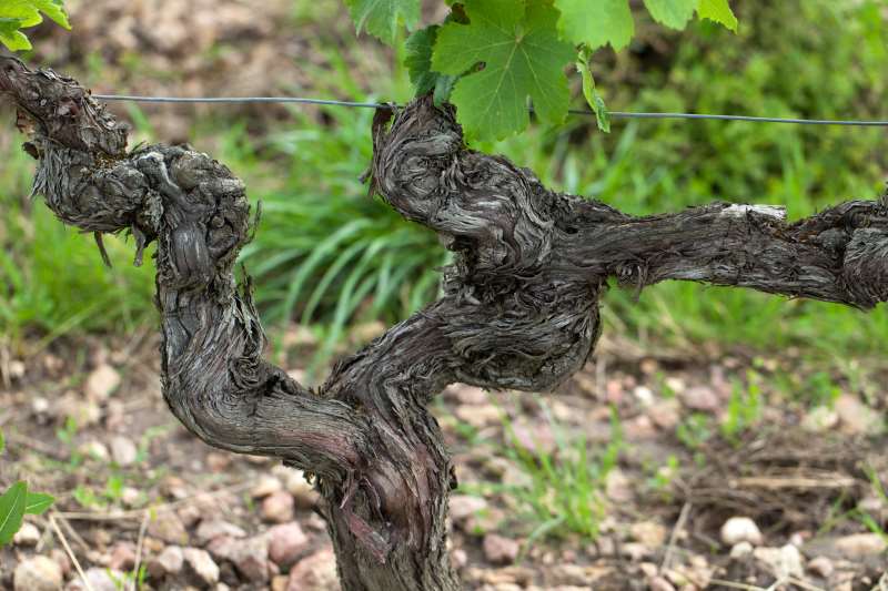 �����ٸ���λ����͹��ܼ��