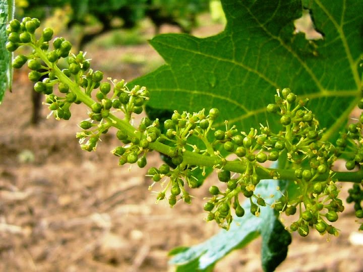 �����ٸ���λ����͹��ܼ��