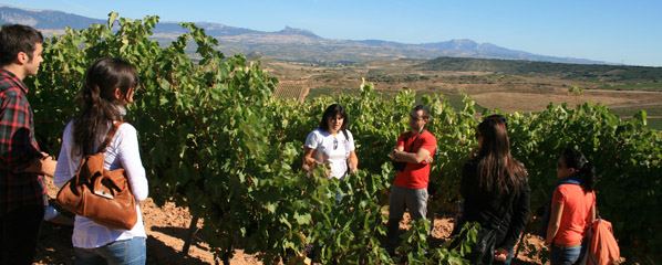 ��δ���ɹ������Ѿ����Σ�