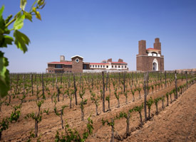 ����ҵ��̬��CMB��ϯ���й������л�������