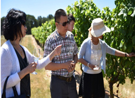 ����˾��̬���϶��ո�Ʒ��֮��