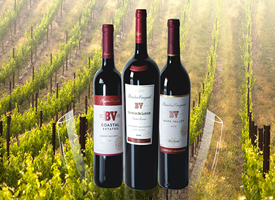 ����˾��̬�����ν��ڵ�����BV���Ѿƣ�һ