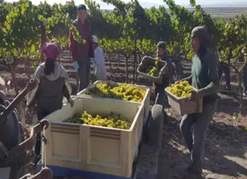 ����˾��̬�����ι�˾�ܾ����ź����̽So