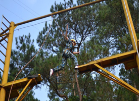 ����˾��̬�������������չѵ��