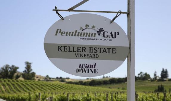 ����ҵ��̬������¬��Ͽ�ȳ�Ϊ��������AV