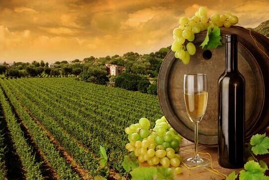 ����ҵ��̬������20�����Ѿ�������������