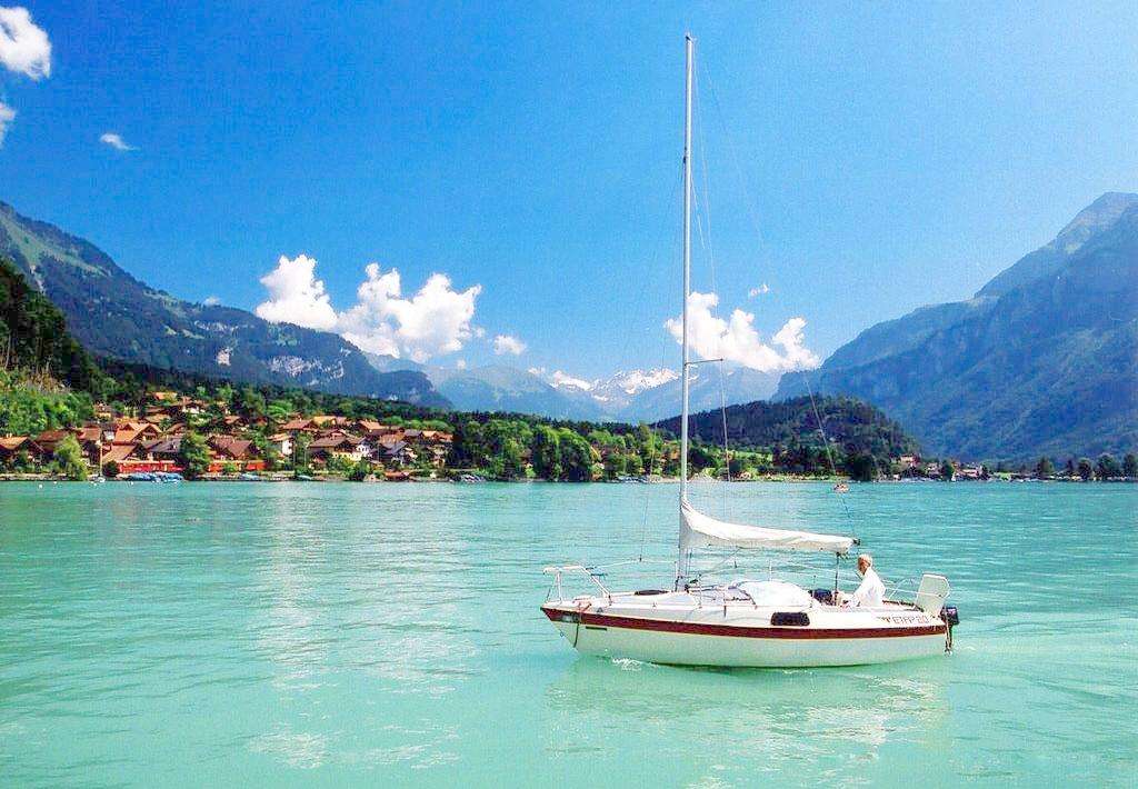 ����ҵ��̬��2020��ǰ����100�ҹ��ҹ�ҵ��