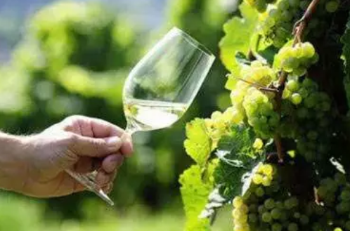 ����ҵ��̬���й������Ѿ��г���չѸ�� Ԥ