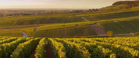 ����ҵ��̬������2018��ӭ�������Ͳ��ա�