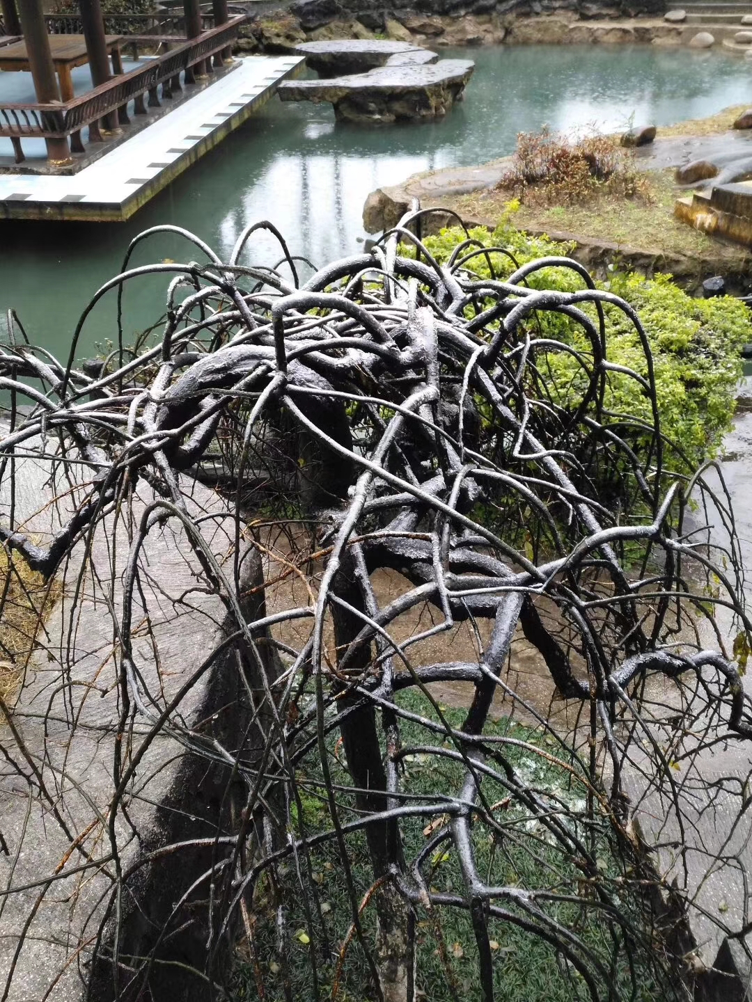 微信图片_20190102154306.jpg 微信图片_20190102154306.jpg